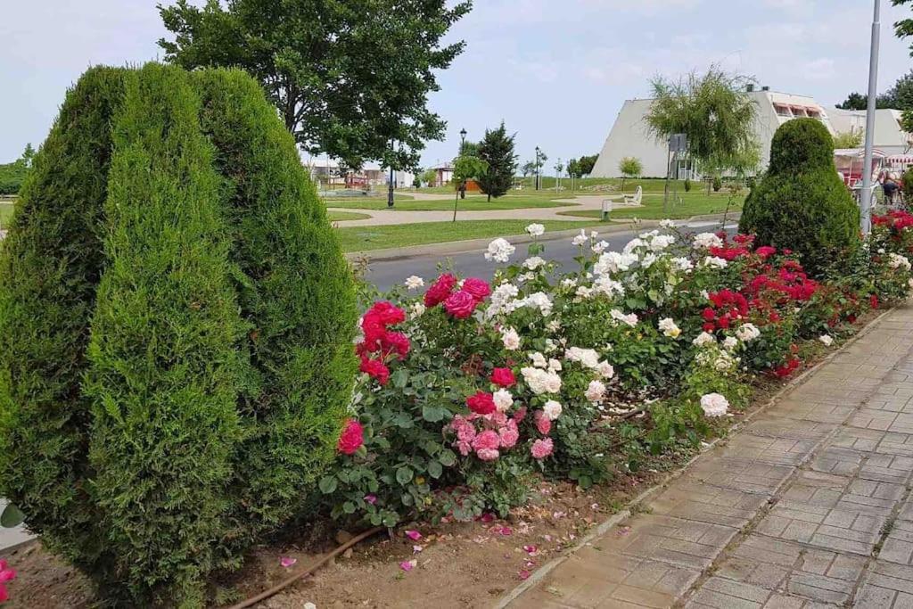Апартамент Ели Obzor Exterior foto